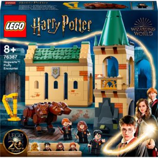 LEGO 76387 Harry Potter Hogwarts: Begegnung mit Fluffy, Konstruktionsspielzeug